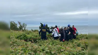 Falmouth firefighters rescue person who fell down embankment on steep trail