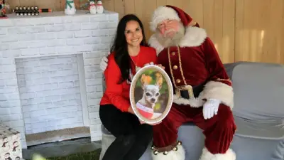 Traci’s Paws founder back in the game after struggle with migraines